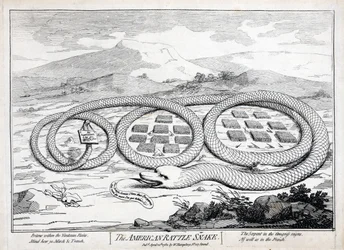 Die amerikanische Klapperschlange, 1782